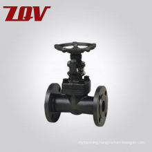 Forged Steel Flanged and BW Gate Valves